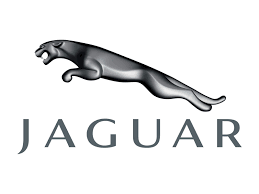 RAME ADAPTOARE JAGUAR