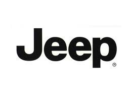 Adaptor Comenzi Volan JEEP