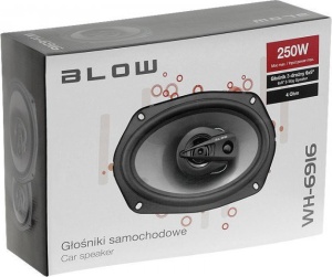 ⭐Set de boxe ovale auto 6x9" 250W RMS (3 căi) WH-6916