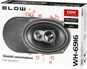 ⭐Set de boxe ovale auto 6x9" 250W RMS (3 căi) WH-6916