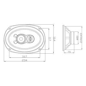 ⭐Set de boxe ovale auto 6x9" 250W RMS (3 căi) WH-6916