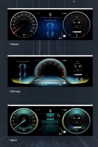 Ceasuri Digitale Mercedes ML GL W166 2012-2015 - Img 3