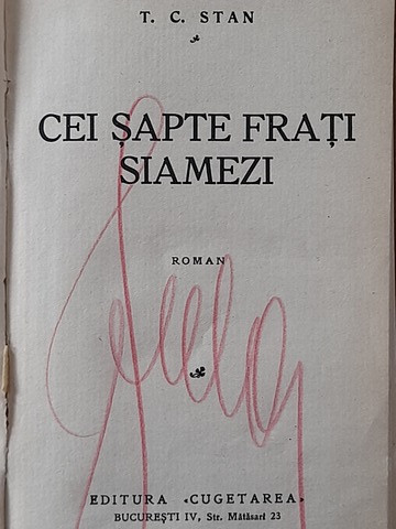 Cei șapte frați siamezi - T.C. Stan