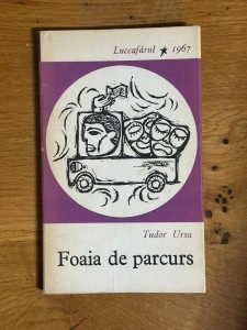 Foaia de parcurs - Tudor Ursu
