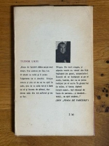 Foaia de parcurs - Tudor Ursu - Img 2