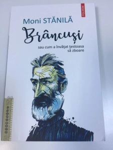 Brâncuși sau cum a învățat țestoasa să zboare - Moni Stănilă