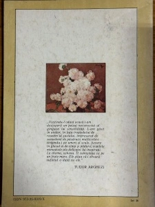 Lumina si culoare - N.N. Tonitza - Img 2