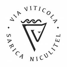 Sarica Niculitel