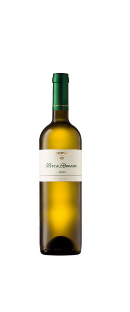 Vin alb, sec, Terra Romana Milenium Alb