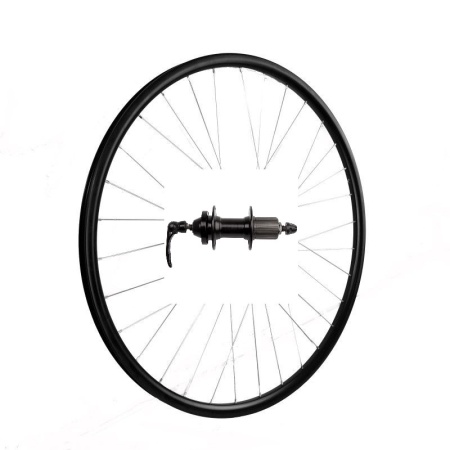 Roata Spate 29"(622x19C) SXT Basic Only-Capsata-36H-FD Casetat