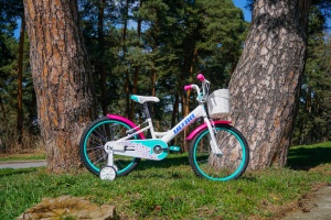 Bicicleta copii mtb ULTRA Larisa 20 V-Brake - Alb | 6-8 ani - Img 3