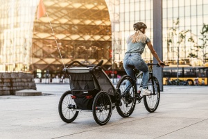 Carucior sport THULE Chariot Lite 1 - Aluminum/Agave - Img 4