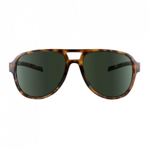 Ochelari de soare TSG Cruise - Brown