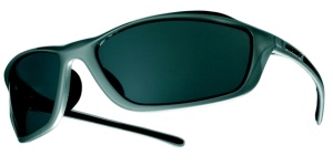 OCHELARI SHIMANO PULSAR SHINY LIGHTNING SILVER (09)