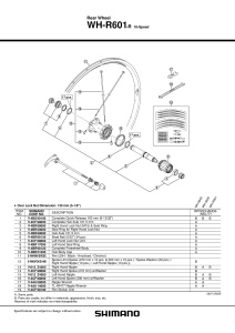 SPITA SHIMANO WH-R601-R DREAPTA 272MM & SAIBA - Img 2