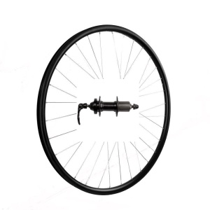 Roata Spate 29"(622x19C) SXT Basic Only-Capsata-36H-FD Casetat