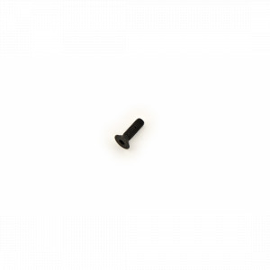 Surub pentru Focus M3 X 10mm