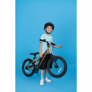 Bicicleta Royal Baby Kable-Belt 16 Golden - Img 6