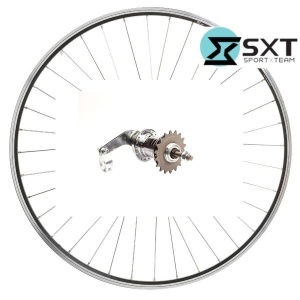 Roata Spate SXT BASIC 20'' - VELOSTEEL 36H (Pinion 18T) - Img 1