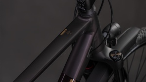 BICICLETA CUBE KATHMANDU SLX SOLARECLIPSE GOLD 2026 54 cm - Img 2