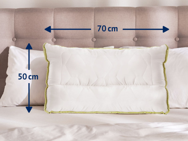 Характеристики Алое Вера Анатомик