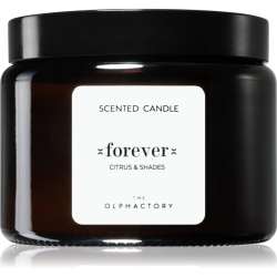 The Olphactory, Forever Citrus & Shades, Scented Candle, 360 g