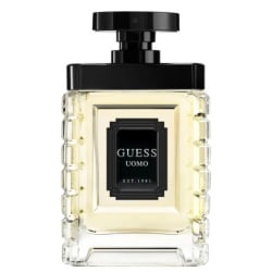 Guess, Uomo, Apă de toaletă, Pentru bărbați, 100 ml