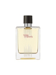 Hermes, Terre d'Hermes Flacon H Limited Edition, Apă de toaletă, Pentru bărbați, 100 ml