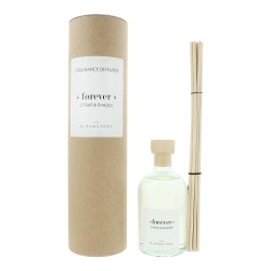 The Olphactory, Forever Citrus & Shades, Fragrance Sticks, Aroma Reed Diffuser, 250 ml
