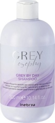 Inebrya, Grey By Day, Șampon pentru păr, Pentru neutralizarea tonurilor galbene, 300 ml