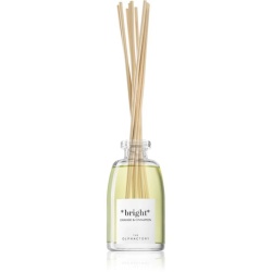 The Olphactory, Bright Orange & Cinnamon, Fragrance Sticks, Aroma Reed Diffuser, 250 ml