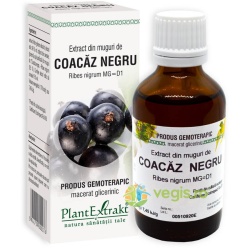 Ekstrakt z pąków czarnej porzeczki 50ml