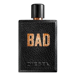 Diesel, Bad, Eau De Toilette, For Men, 100 ml
