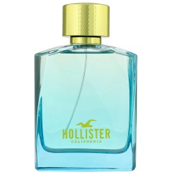 Hollister, Wave 2, Eau De Toilette, For Men, 100 ml *Tester