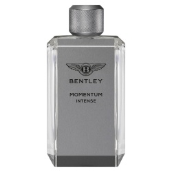 Bentley, Momentum Intense, Eau De Parfum, For Men, 100 ml