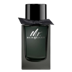 Burberry, Mr. Burberry, Eau De Parfum, For Men, 150 ml