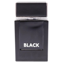 Nicole Miller, New York Black, Apă de toaletă, Pentru bărbați, 100 ml