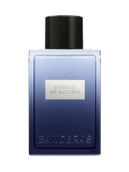 Antonio Banderas, Essence of Success, Apă de toaletă, Pentru bărbați, 100 ml