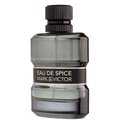 Fragrance World, Eau De Spice, Apă de parfum, Pentru bărbați, 100 ml