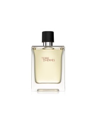 Hermes, Terre d'Hermes, Apă de toaletă, Pentru bărbați, 100 ml