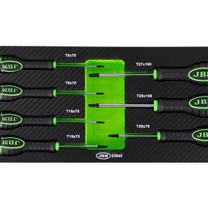 SET DE 7 SURUBELNITE TORX JBM