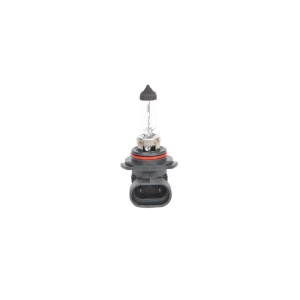 BEC 12V HB4 55W ECO BOSCH - Img 6