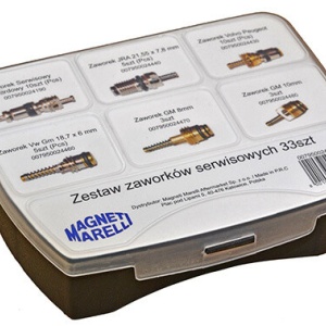 Supape service aer conditionat MAGNETI MARELLI 42 buc Tip gaz : R134A/R1234yf