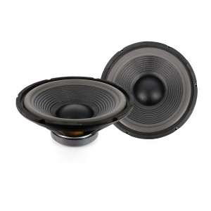 Difuzor PA-HOME 12 (305 mm) 150/300W / 8 Ohm