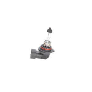 BEC 12V HB4 55W ECO BOSCH
