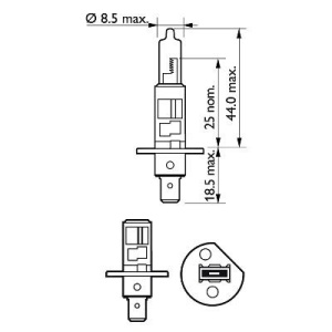 BEC FAR H1 55W 12V VISION PLUS PHILIPS - Img 3