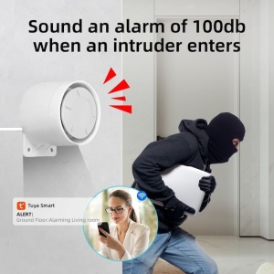 Alarma fara fir, control vocal, Wifi GSM 4G, memento prin SMS, notificare pe telefon, afisaj de 2.4 inchi, alb - Img 3