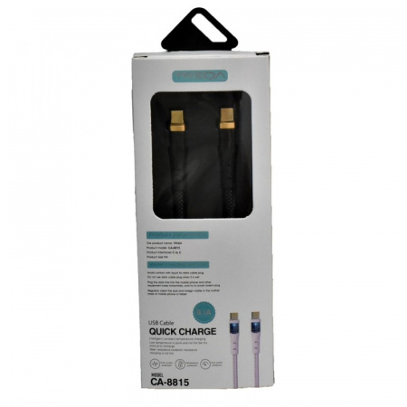CABLU PD 9,1A INCARCARE RAPIDA TIP C - TIP C / CA-8815 - Img 2