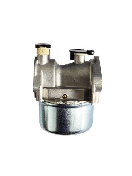 Carburator motor agricol Briggs &amp; Stratton 497586, 499059, 733869, 792253 - Img 4