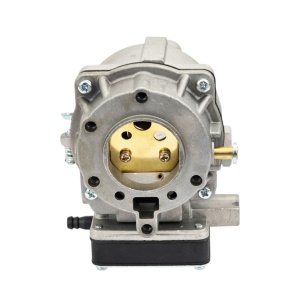 Carburator motor agricol Briggs & Stratton 693480, 693479, 499306, 694026, 694056, 495181 - Img 2